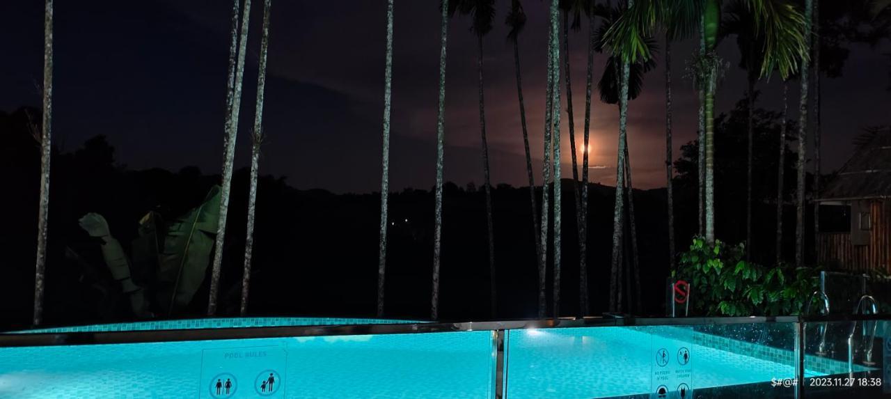 The Pool Villa Coorg Madikeri Bagian luar foto